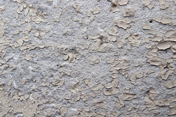 concrete wall texture