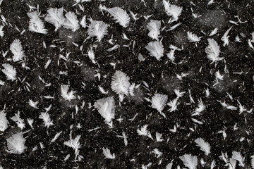 White ice patterns close up on a black background