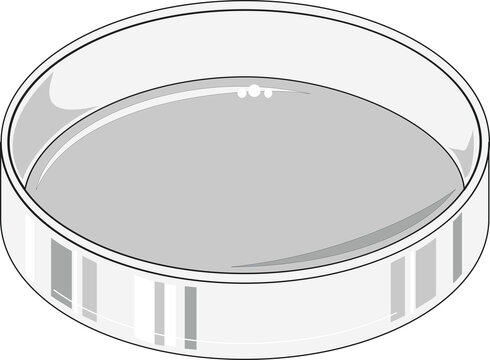 Grey-colored petridish without a cover used in microbiology cell culture