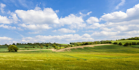 Beautiful rural summer landscape