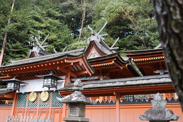 Naklejka premium 神社ですね