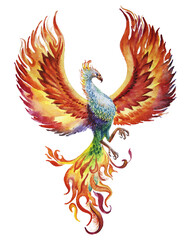 Phoenix bird watercolor illustration on white background