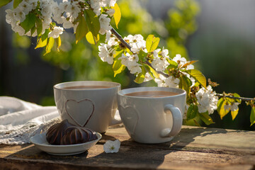 Coffee with milk, cocoa, tea in cups with heart decor, lace napkin on a wooden table. Cherry blossoming branches, spring mood. Outdoor brunch refreshments.