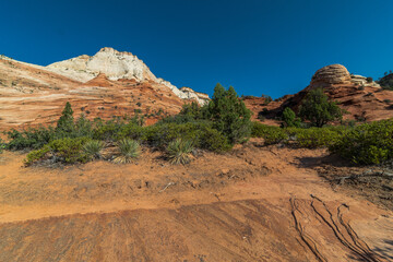 Zion National Park in Utah