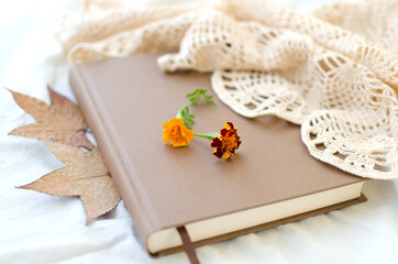 Two marigold flowers on a brown closed book, dry autumn leaves, still life.