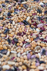 Shelled ripe seeds of kidney bean on heap. Pile of dry raw seeds of haricot (Phaseolus vulgaris) as natural background. Macro close-up. Organic farming, healthy food, BIO viands, back to nature.
