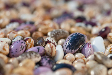 Shelled ripe seeds of kidney bean on heap. Pile of dry raw seeds of haricot (Phaseolus vulgaris) as natural background. Macro close-up. Organic farming, healthy food, BIO viands, back to nature.