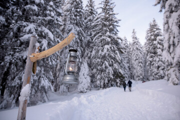 couple en balade sur un chemin de forêt en hiver - Alpes