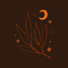 Tiny leaf line art, moon and stars. Good for logos and labels.