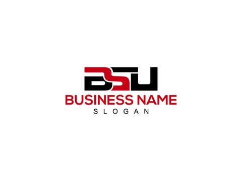 BSU Logo And Illustrations Design For New Business
