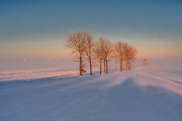 Frosty morning, arable fields in the morning fog and strong snow, Poland, Zulawy