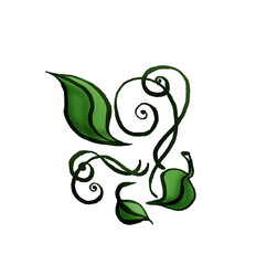 Big flower patterns with beautiful swirls 