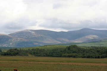 A view of the Scottish Countryside near the Cairngorms