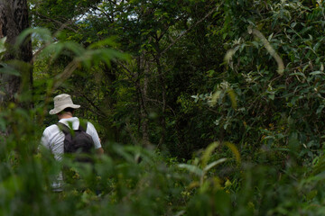 Man walking with a backpack in a rainforest during summer.