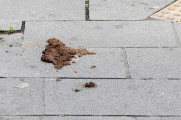 Pile of dog excrement on a sidewalk.