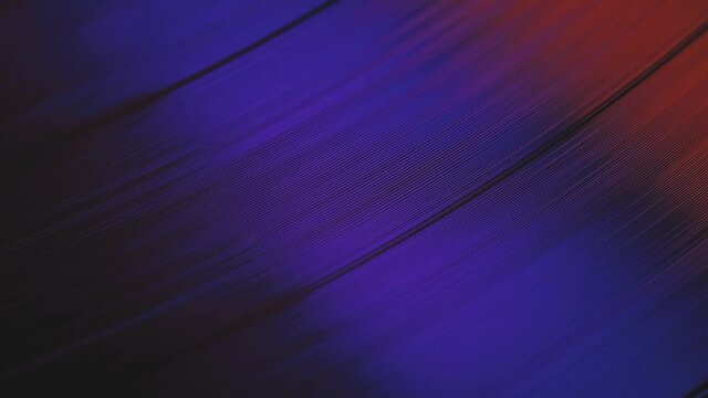 A vinyl record spins in the gramophone music player and plays an old disco. Close-up shot of retro vinyl record player