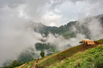 hut on the hill in rain season.