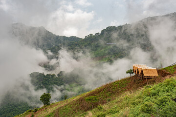 hut on the hill in rain season.