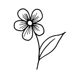 Forget-me-not flower. Botanical outline drawn illustration. Vector.