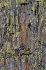 Close up of green and orange moss on a jagged mountain