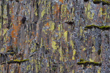 Close up of a moss-covered, jagged, rocky cliff wall 