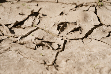 Fototapeta premium The texture of a heat cracked field. Global warming