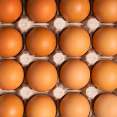 Brown fresh chicken eggs in carton box. Closeup natural organic egg pattern. Healthy real food. Top view, flat lay