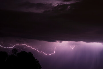 Lightning sky bending over a tree