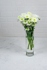Bouquet of white chrysanthemums in a glass vase on a white background and a wooden table. Mother's day card. Beautiful chrysanthemum flowers for an online store. Flower shop. Copy space.