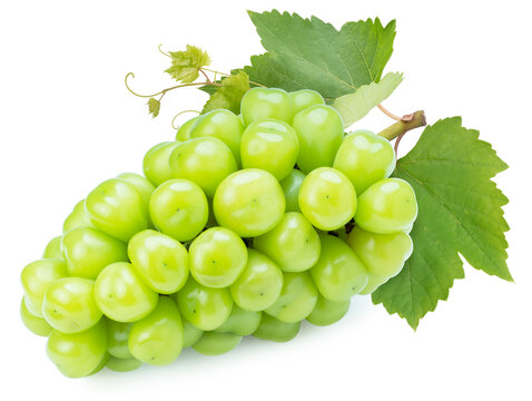 Sweet Green grape isolated on white, Shine Muscat Grape isolated on white background With clipping path,