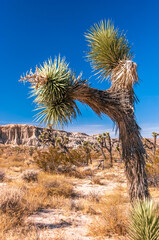 Red Rock Canyon state park, California