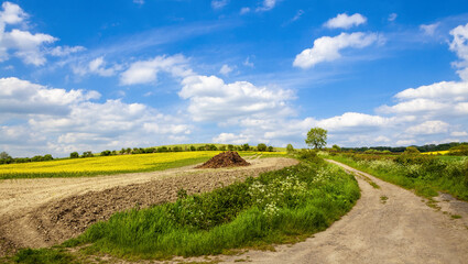 Panoramic view of green hill on blue sky background