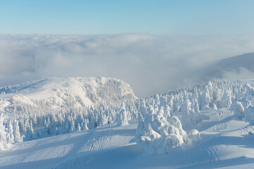 Fototapeta premium Mountain winter snow landscape. Fir trees under the snow, clouds and blue sky. High quality photo