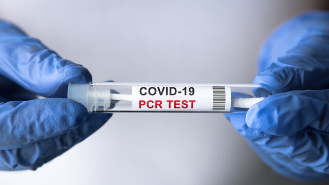 COVID-19 PCR test in doctor hands, coronavirus swab collection kit close-up