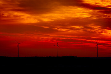 Fototapeta na wymiar Wind turbines at sunset .Golden hour