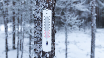 Thermometer on a background of winter forest shows 5 degrees below zero. Cold weather concept.