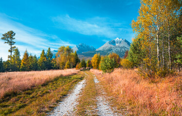 Beautiful autumn day and colorful tree in High Tatras panorama mountains,Slovakia