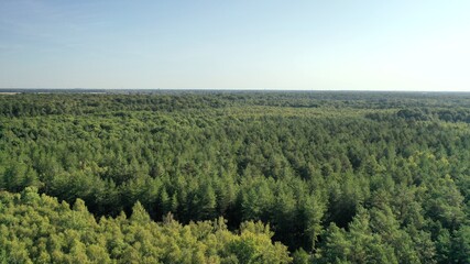 parc, forêt, château de Rambouillet dans les Yvelines (France)