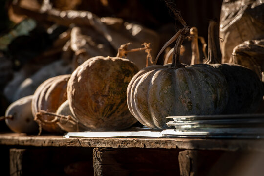 AKHA HILL TRIBE, HOKYIN VILLAGE, MYANMAR - 22 January 2019: Seasonal pumpkin is stored outside house as part of hill tribe staple diet.