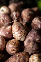 Jerusalem artichokes or topinambour, (topinambur), also known as earth apple or sunroot on wooden background. Close up.