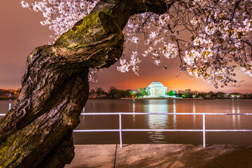 Washington, DC at the Jefferson Memorial during spring