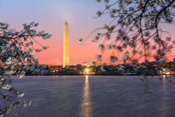 Fototapeta na wymiar Washington DC, USA at the tidal basin with Washington Monument