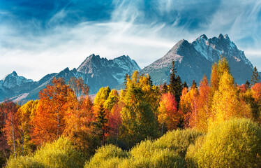 Peak Krivan (2494m),symbol of Slovakia in High Tatras mountains, Slovakia autumn - obrazy, fototapety, plakaty
