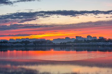 Fototapeta premium View of Rosslyn, Arlington, Virginia, USA from the tidal basin in Washington DC at Dusk