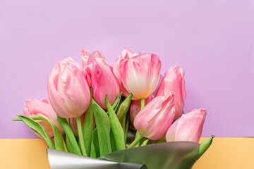 Tender pink tulips on pastel violet and yellow background. Concept of international women's day, mother's day, easter. Valentine love day