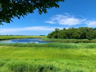 Bucolic Scenery of the Grand Marais Creek at a picnic area located near Fisher, Minnesota