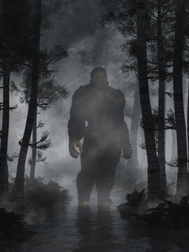 The mysterious bigfoot, a creature of folklore and legend, and the most popular cryptid of North America, stands in a shallow creek in the woods at night. 3D Rendering