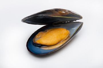 Natural and canned Galician mussels