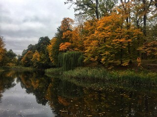 autumn trees reflected in water
