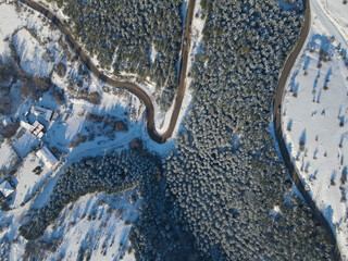 snowy road through trees and forest